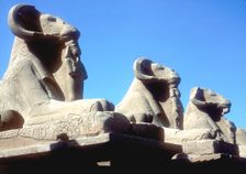 Ram-headed sphinxes, Temple of Amun, Karnak, Egypt