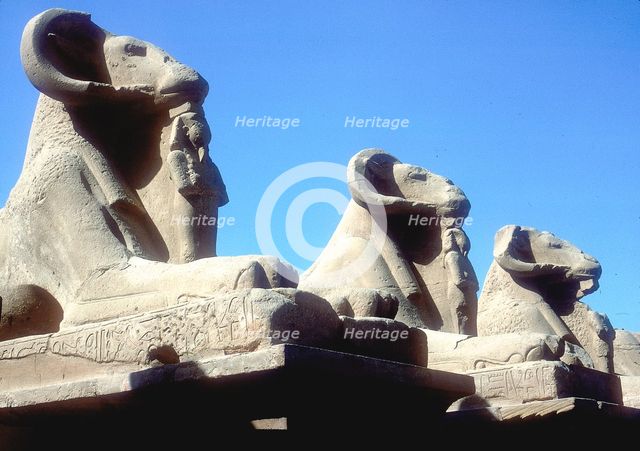 Ram-headed sphinxes, Temple of Amun, Karnak, Egypt. Artist: Unknown