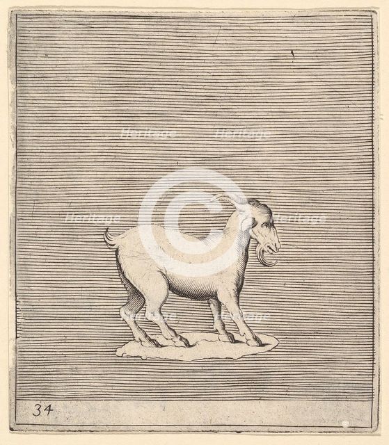 Ram, published ca. 1599-1622. Creator: Unknown.