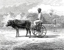 Ramasawmy going to Bazaar, Madras, 1876. Creator: Unknown