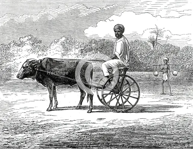 Ramasawmy going to Bazaar, Madras, 1876. Creator: Unknown.