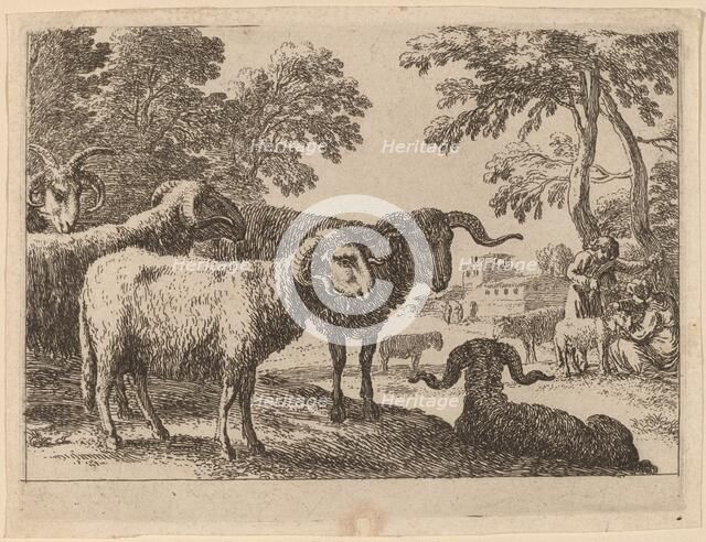 Rams. Creator: Herman van Swanevelt.