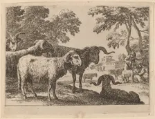 Rams. Creator: Herman van Swanevelt