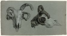 Rams Skulls, n.d. Creator: George Hayter