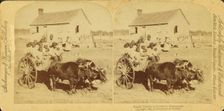 Rapid transit in southern Mississippi, [Large group of children on an oxcart], (1868-1900?). Creator: Unknown