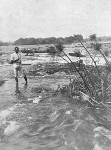 'Rapides du Zambeze en amont des chutes Victoria; Afrique Australe 1914. Creator: Unknown