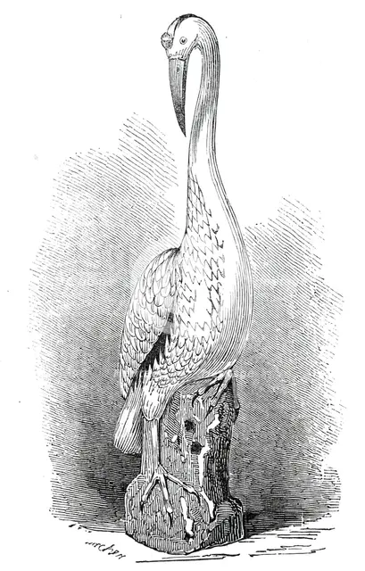 Rare old India China stork, 1845. Creator: Unknown.