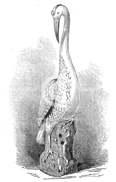 Rare old India China stork, 1845. Creator: Unknown.