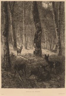 Retour au Bercail. Creator: Karl Bodmer