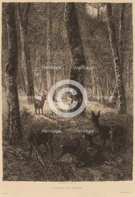 Retour au Bercail. Creator: Karl Bodmer.