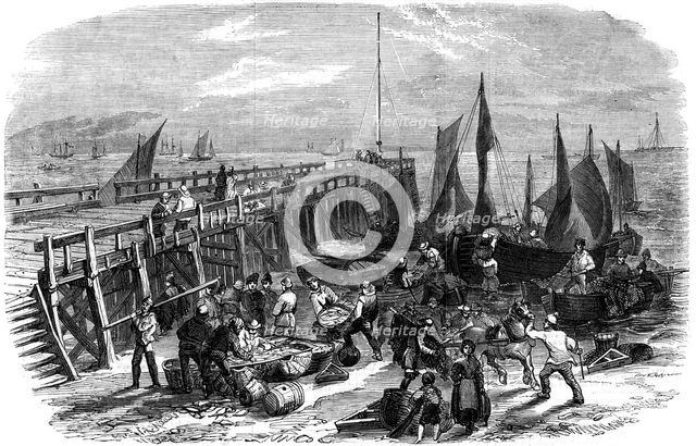 Return of the herring boats, Yarmouth, Isle of Wight, 1856.Artist: NR Woods