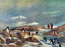 Return of the Penguins c1908, (1909). Artist: George Marston