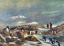 Return of the Penguins c1908, (1909). Artist: George Marston