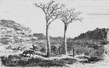 Returning from a Trading Trip; Life in a South African Colony 1875. Creator: Unknown