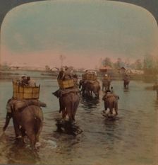 Returning to camp after a day's shoot, Bebar jungle, India 1909. Artists: Elmer Underwood, Bert Elias Underwood