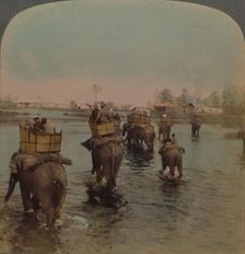 Returning to camp after a day's shoot, Bebar jungle, India 1909. Artists: Elmer Underwood, Bert Elias Underwood