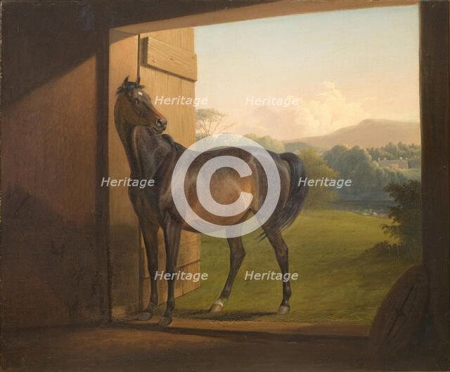Reveller Mare, 1834-1872. Creator: Fritz Thomsen.