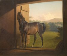Reveller Mare, 1834-1872. Creator: Fritz Thomsen