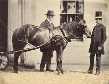 Reverend L. C. Cure and His Pony, 1859. Creator: Alfred Capel-Cure
