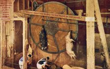 Revolving hog wheel, Armour Plant, Union Stock Yards, Chicago, Illinois, USA, 1915