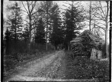 Rewell Wood, Arundel, Arun, West Sussex, 1908. Creator: Katherine Jean Macfee