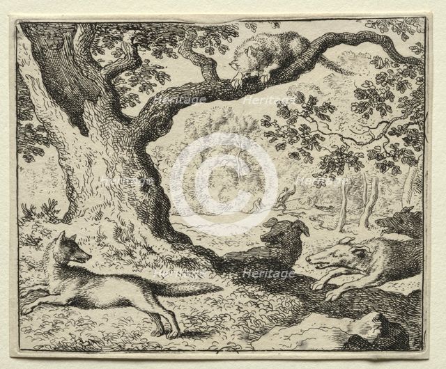Reynard the Fox: The Disloyal Cat. Creator: Allart van Everdingen (Dutch, 1621-1675).