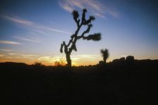 Reach. Creator: Robert Manno