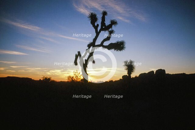 Reach. Creator: Robert Manno.