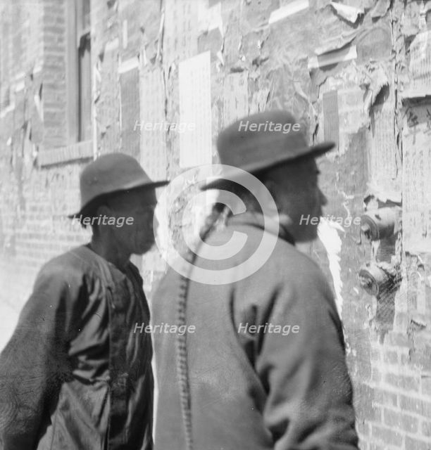 Reading wall notices, Chinatown, San Francisco, between 1896 and 1906. Creator: Arnold Genthe.