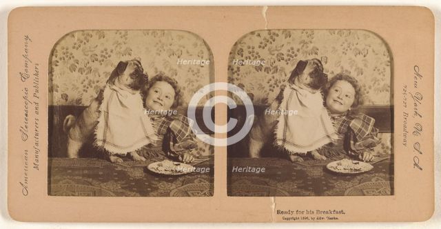 Ready for his Breakfast., 1896. Creator: Edward Clarke.