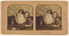 Ready for his Breakfast., 1896. Creator: Edward Clarke