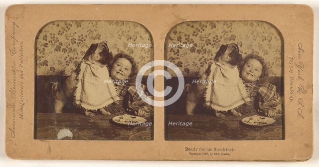 Ready for his Breakfast., 1896. Creator: Edward Clarke.