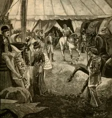 Ready To Be Called Into The Ring 1882. Creator: Unknown