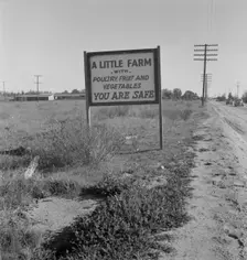 Real estate sign along the highway, Riverside County, California, 1937. Creator: Dorothea Lange