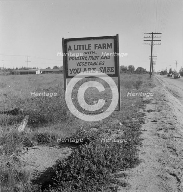 Real estate sign along the highway, Riverside County, California, 1937. Creator: Dorothea Lange.