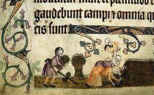 Reaping and binding sheaves (From the Luttrell Psalter), ca 1330. Artist: Anonymous