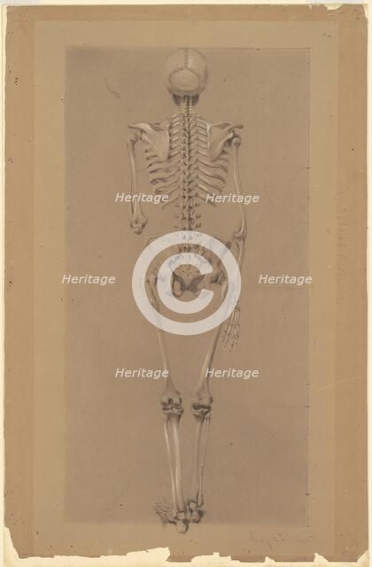 Rear View of a Skeleton, 1848. Creator: Daniel Huntington.