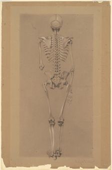 Rear View of a Skeleton, 1848. Creator: Daniel Huntington