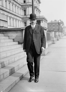 Rear Admiral Victor Blue, U.S.N.; Chief Bur. Nav., 1917. Creator: Harris & Ewing