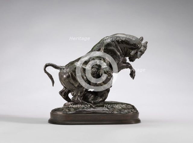Rearing Bull with Tiger, model 1841/1844, cast by 1873. Creator: Antoine-Louis Barye.