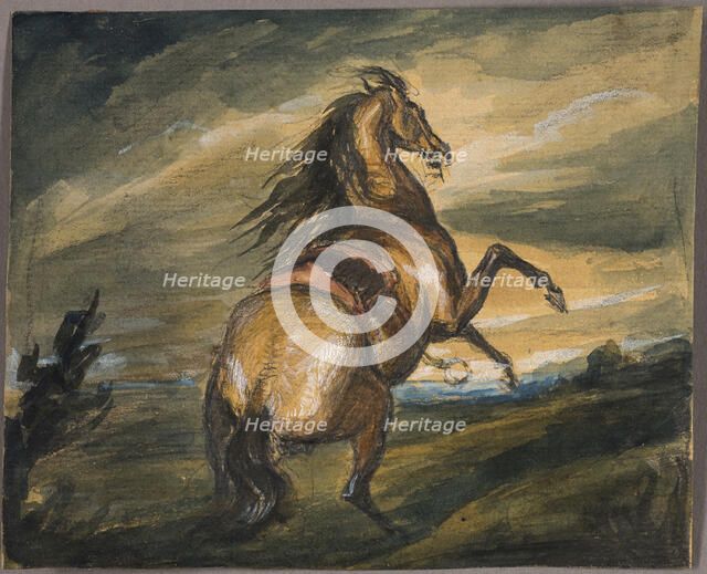Rearing Horse, 1817. Creator: Edwin Henry Landseer.