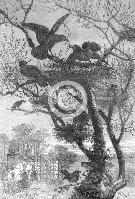 Rebuilding, 1871. Creator: Pearson.