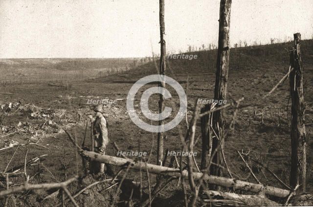 Recaptured Territory; On the right, in the background, the remains of Allemant..., 1917. Creator: Unknown.