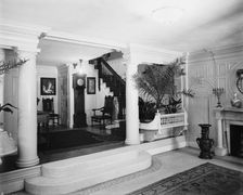 Reception hall, four-story townhouse, possibly New York, N.Y., between 1900 and 1905. Creator: William H. Jackson