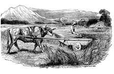 Reconstruction of Roman reaping cart, as described by Pliny, Engraving, 1860
