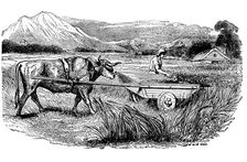 Reconstruction of Roman reaping cart, as described by Pliny, Engraving, 1860