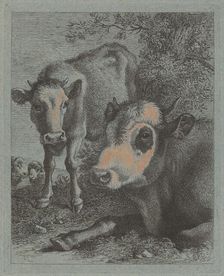 Reclining Cow and Calf in the Open, 1758/1759. Creator: Francesco Londonio