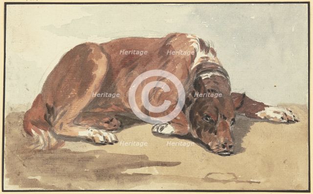 Reclining Great Dane, head on the ground, 18th century. Creator: Conrad Gesner.