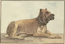 Reclining Great Dane, head raised, 18th century. Creator: Conrad Gesner