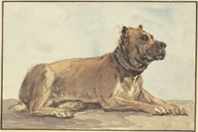 Reclining Great Dane, head raised, 18th century. Creator: Conrad Gesner